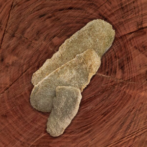 Milanesas de zucchini (Kg)